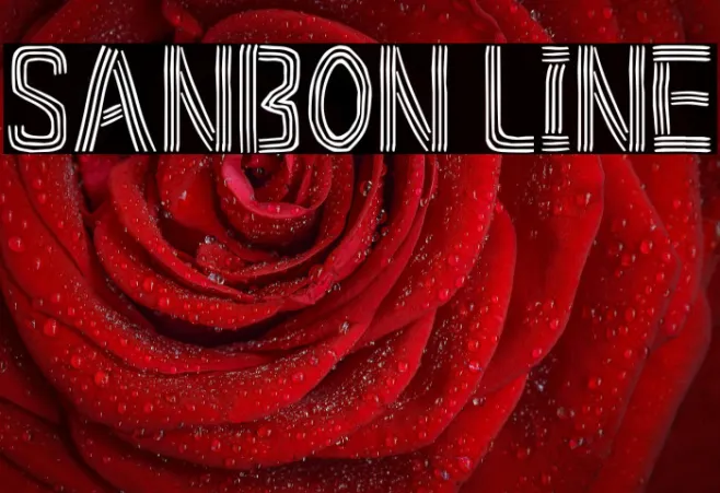 Sanbon Line Example 1