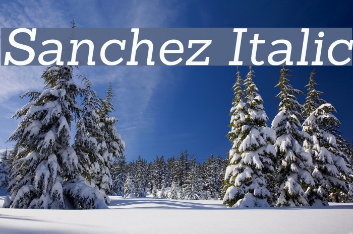 Sanchez Italic Font examples