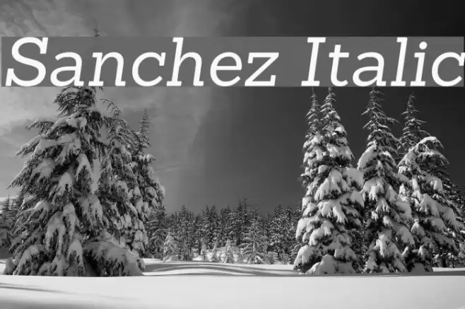 Sanchez Italic Font examples