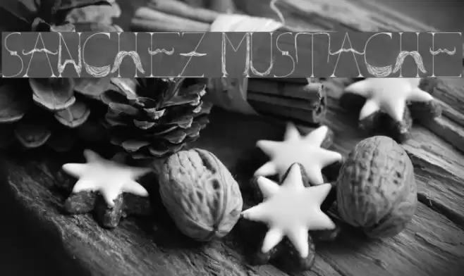 Sanchez Mustache Font examples