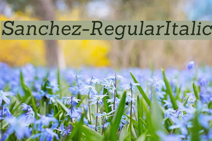 Sanchez-RegularItalic Font examples
