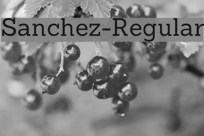 Sanchez-Regular Font examples