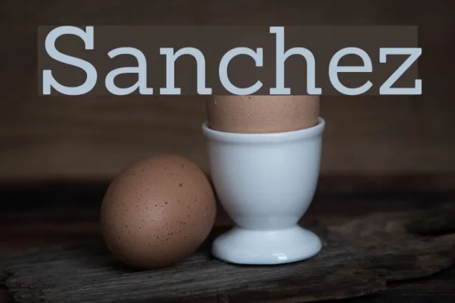 Sanchez Example 1