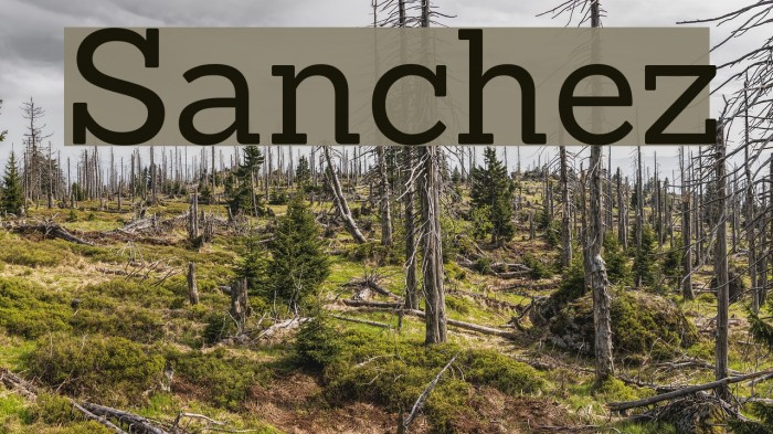 Sanchez Font examples
