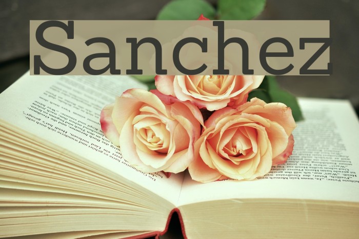 Sanchez Font examples