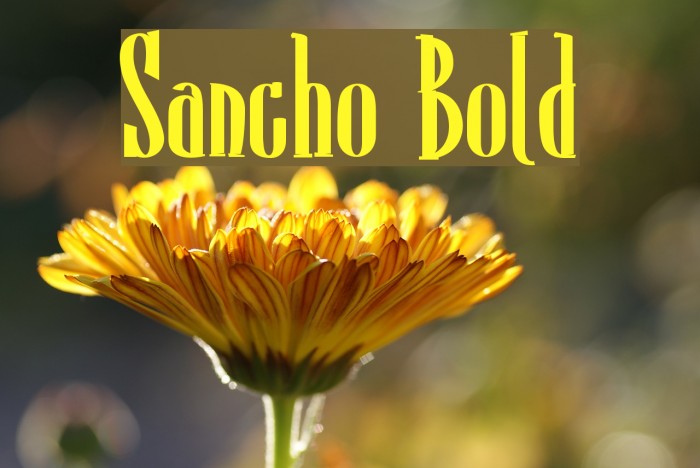 Sancho Bold Font examples