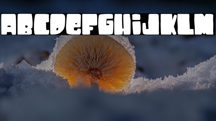 Sancho Panza Example 3