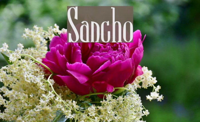 Sancho Font examples