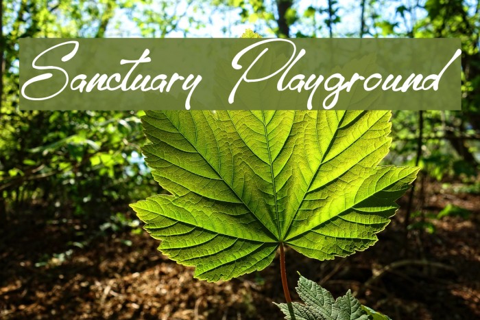 Sanctuary Playground Font examples