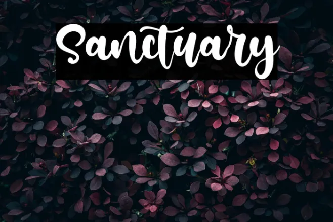 Sanctuary Example 1