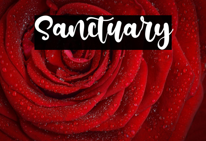 Sanctuary Example 2