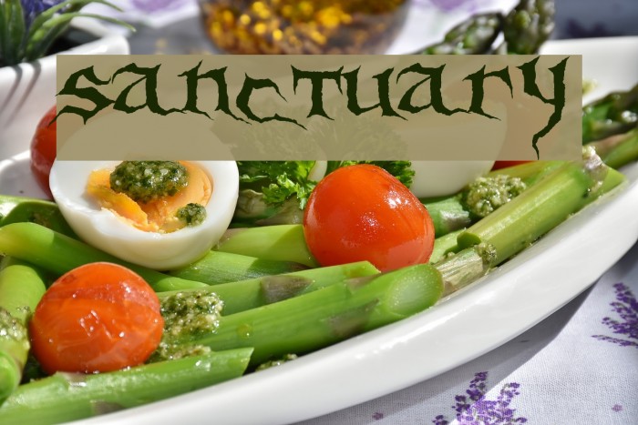 Sanctuary Font examples