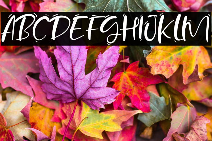 Sand Beach Example 1