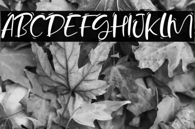 Sand Beach Font examples