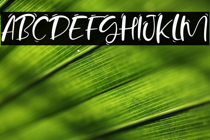 Sand Beach Example 2