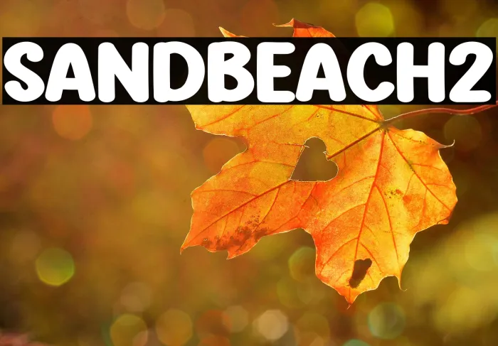 Sand Beach2 Example 1