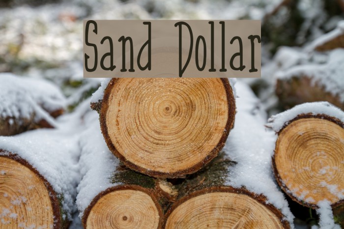 Sand Dollar Font examples