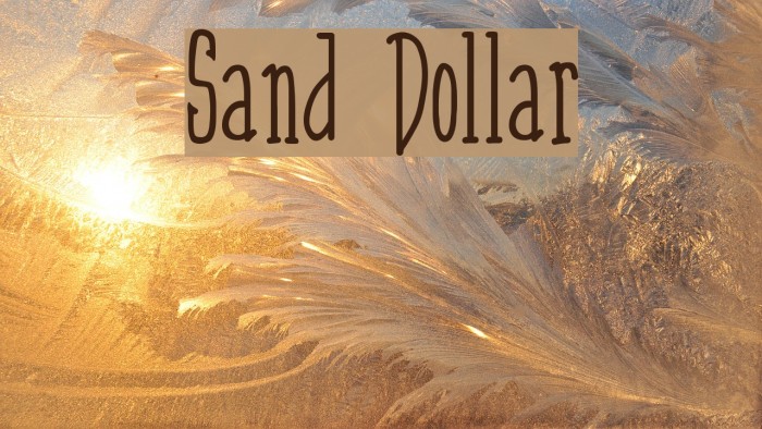 Sand Dollar Font examples