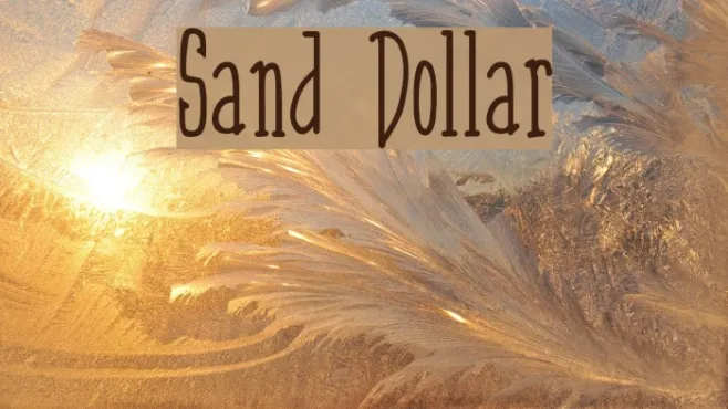 Sand Dollar Example 2