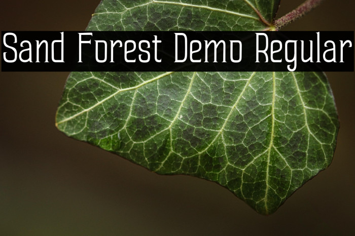 Sand Forest Demo Regular Example 2