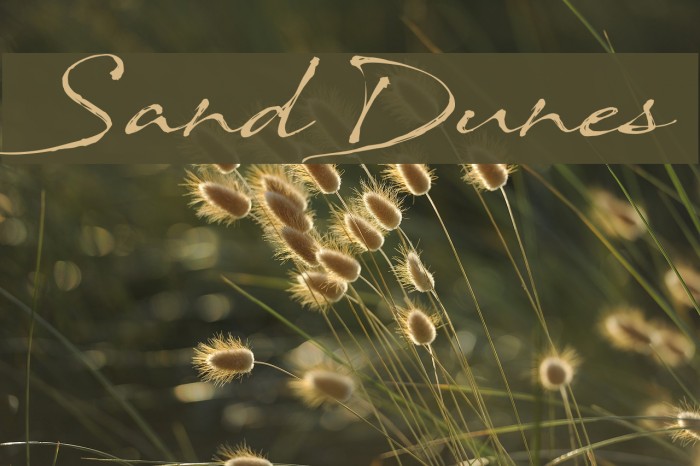 SandDunes Font examples