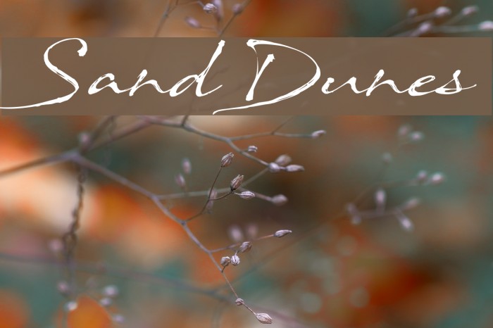 SandDunes Font examples