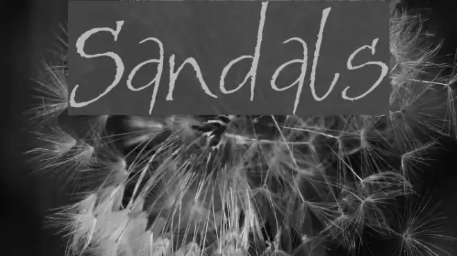 Sandals フォント examples