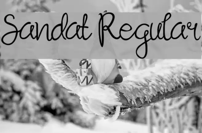 Sandat Regular Font examples