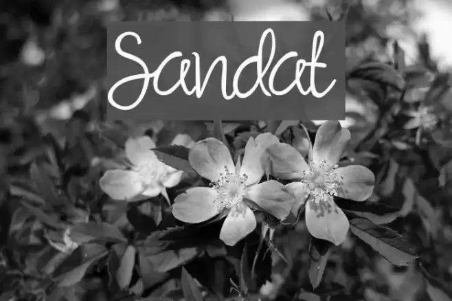 Sandat Font examples