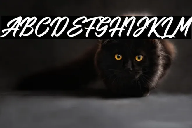 Sandblack Example 1