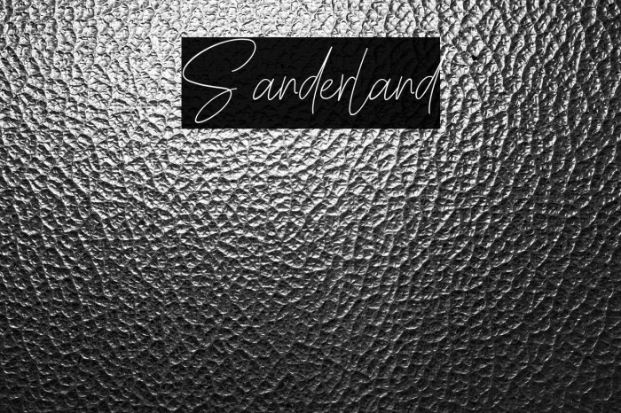 Sanderland Example 2