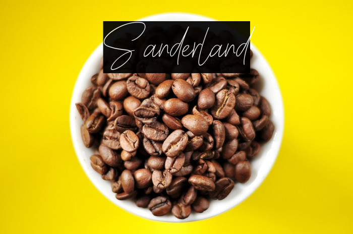 Sanderland Example 3