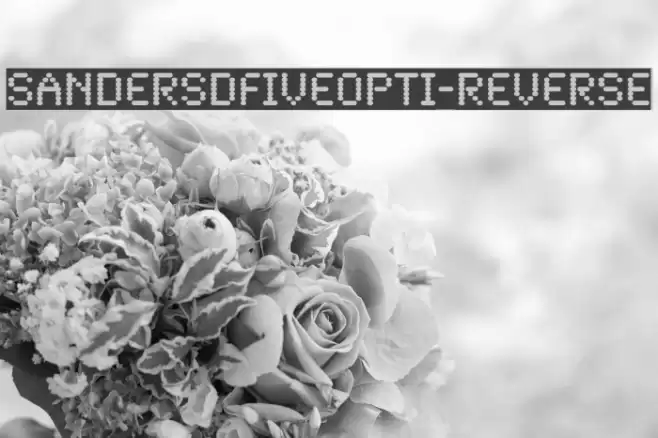 SandersDFiveOpti-Reverse Polices examples
