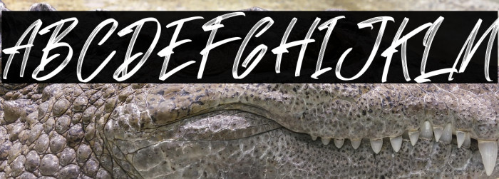 Sandershon Example 3