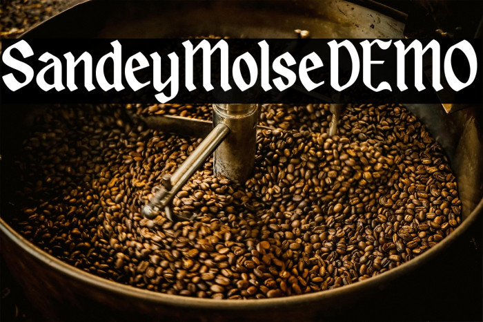 SandeyMolseDEMO Example 1