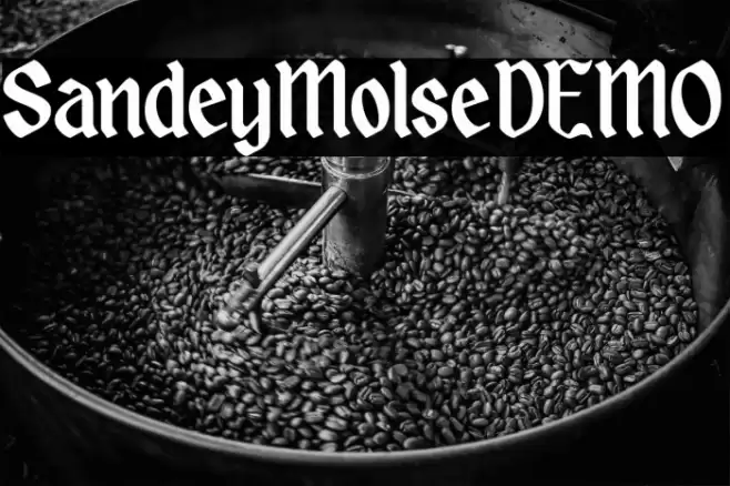 SandeyMolseDEMO フォント examples