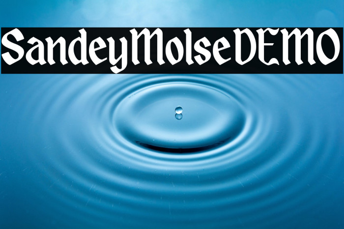 SandeyMolseDEMO Example 2