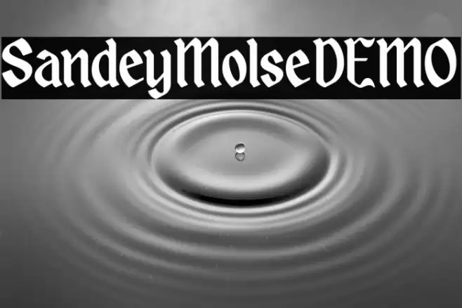 SandeyMolseDEMO フォント examples