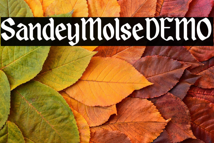 SandeyMolseDEMO Example 3