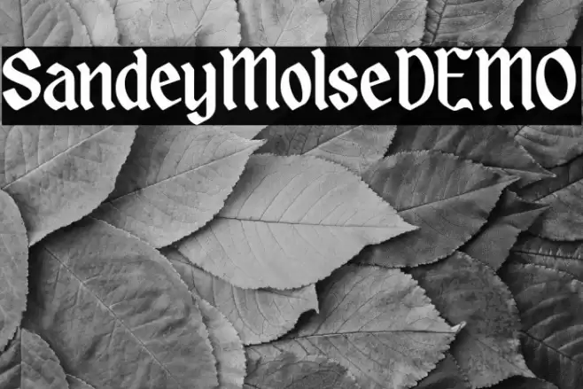 SandeyMolseDEMO フォント examples