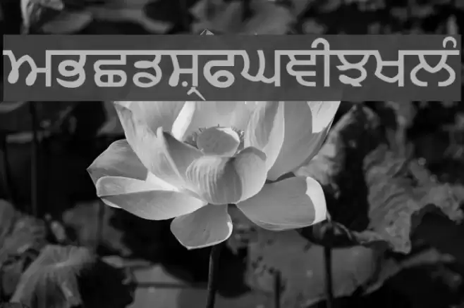 Sandhu01 Font examples