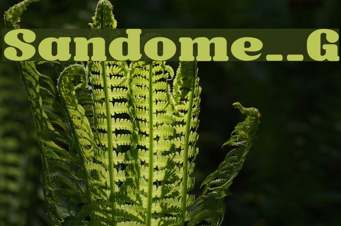 Sandome__G Font examples