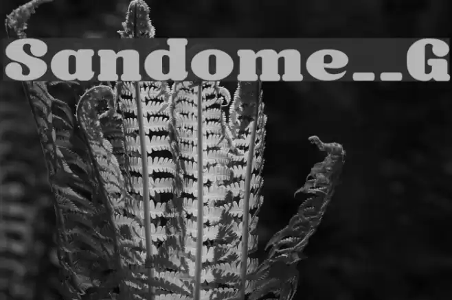 Sandome__G Шрифта examples