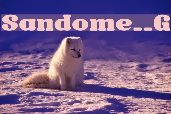 Sandome__G Font examples