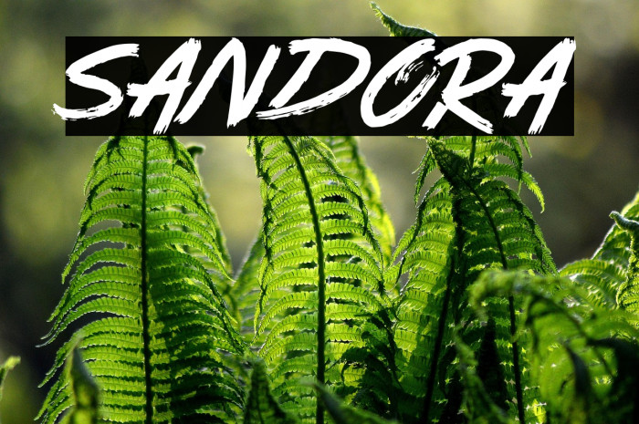 Sandora Example 1