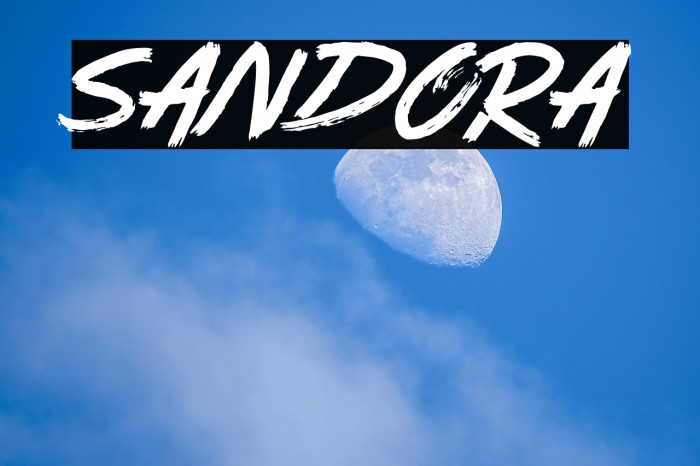 Sandora Example 2