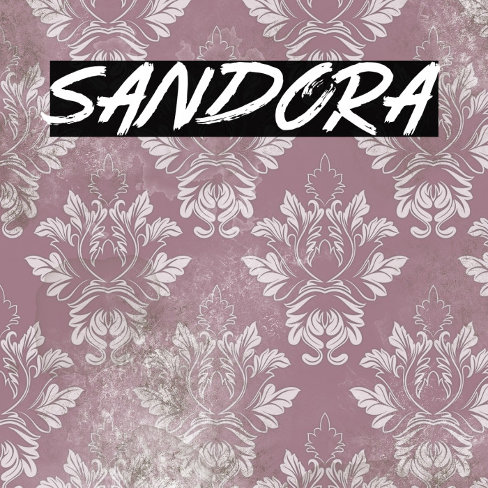 Sandora Example 3