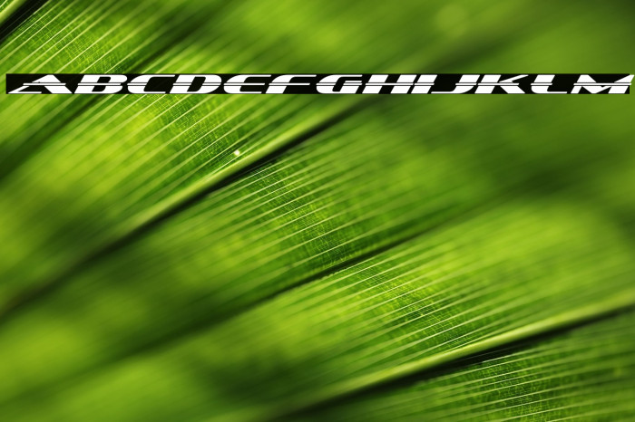 SandovalSpeed-Regular Example 1