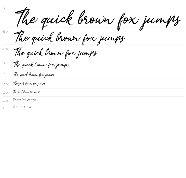 Sandra Belhock Italic Waterfall