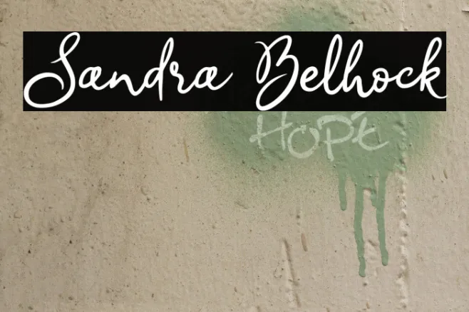 Sandra Belhock Example 1